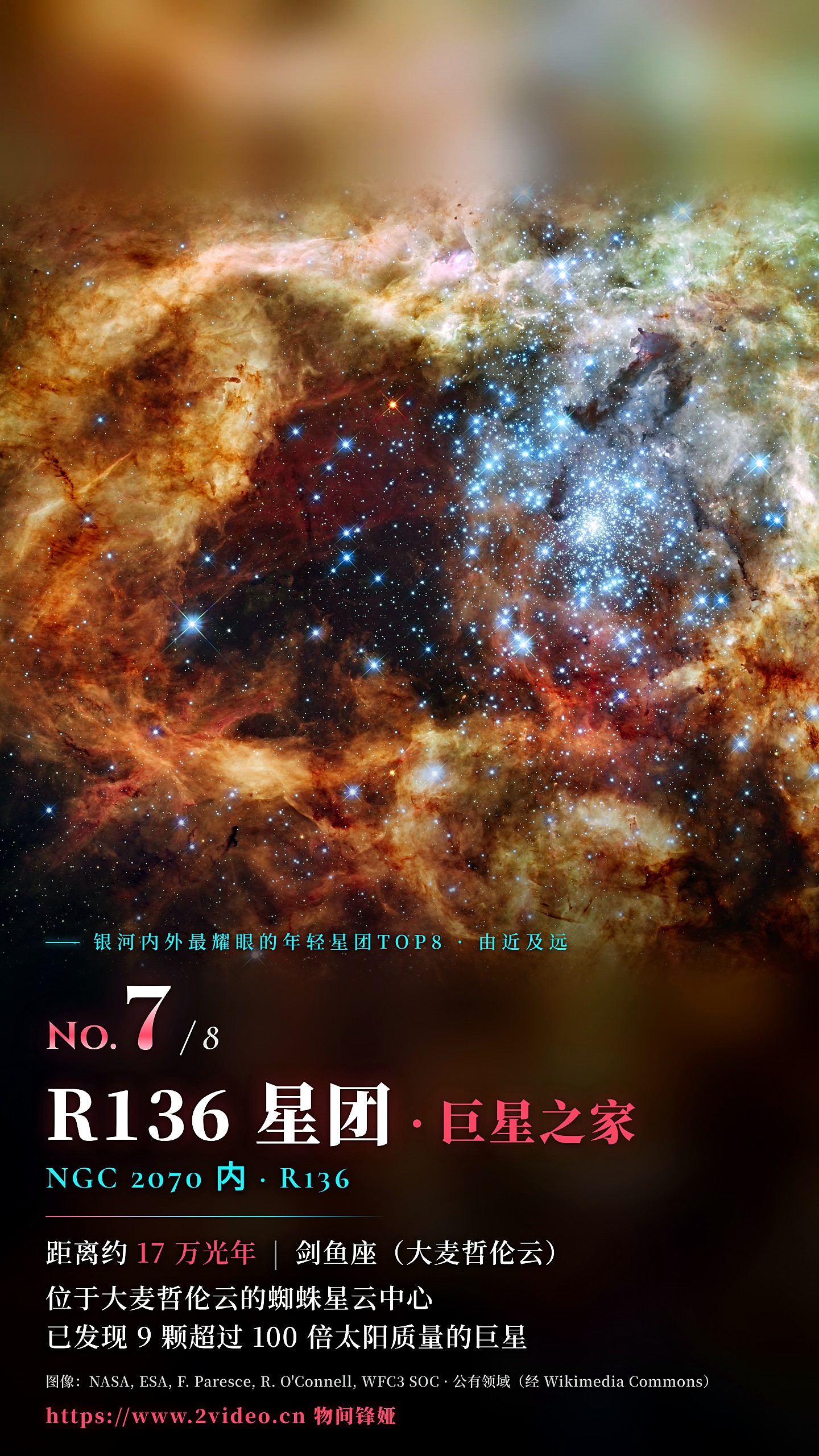 No.7 R136 星团