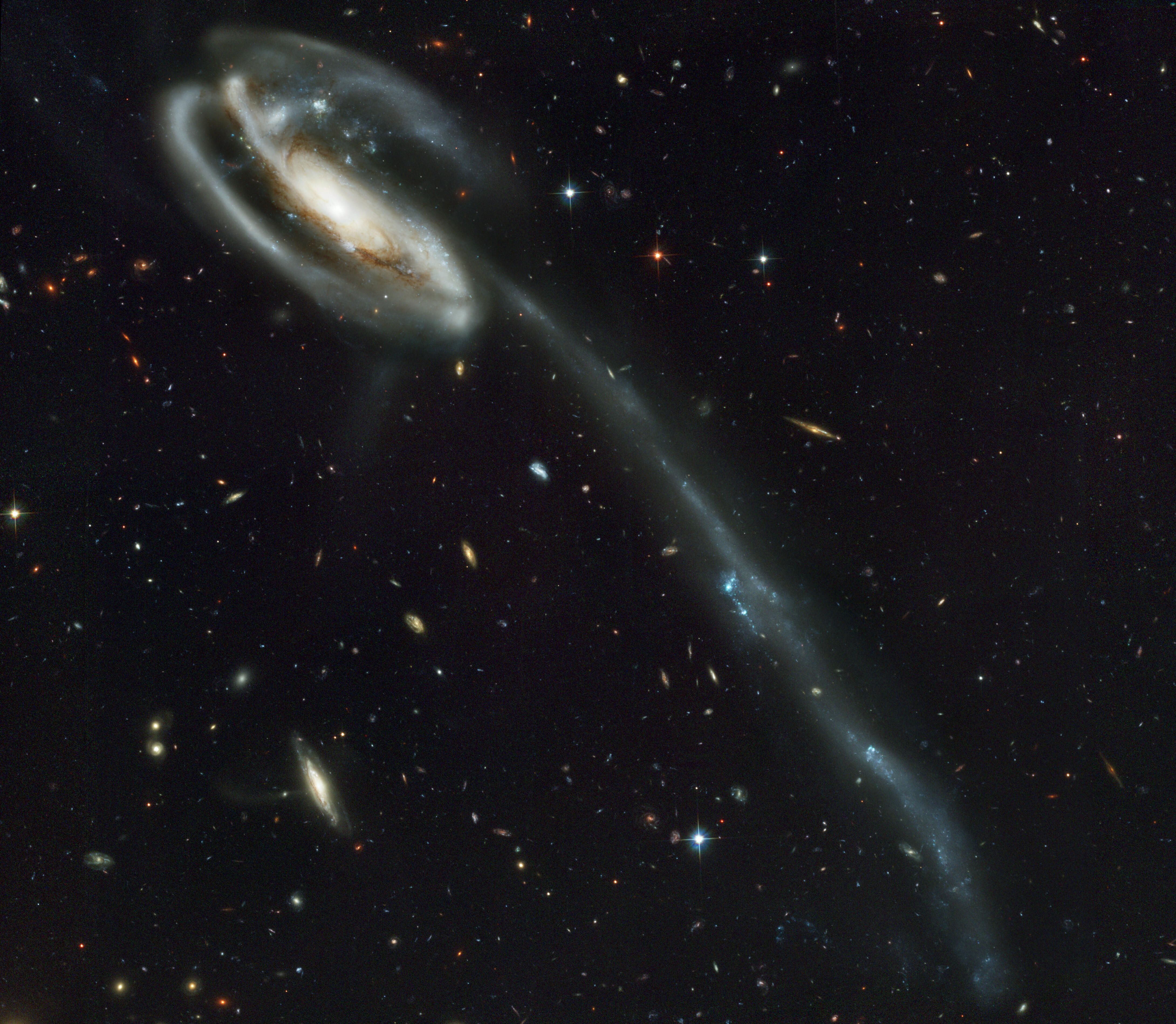 28-遥远星系的“壁纸”为逃逸星系提供了令人惊叹的背景。