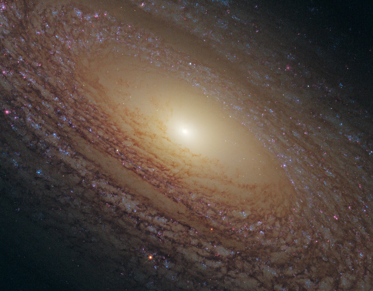 37-絮状螺旋体 NGC 2841